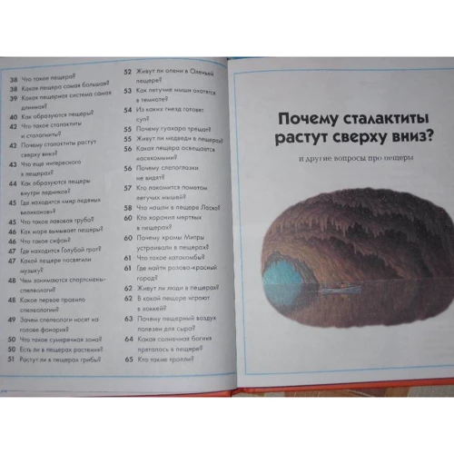 Что, зачем и почему? фото 7