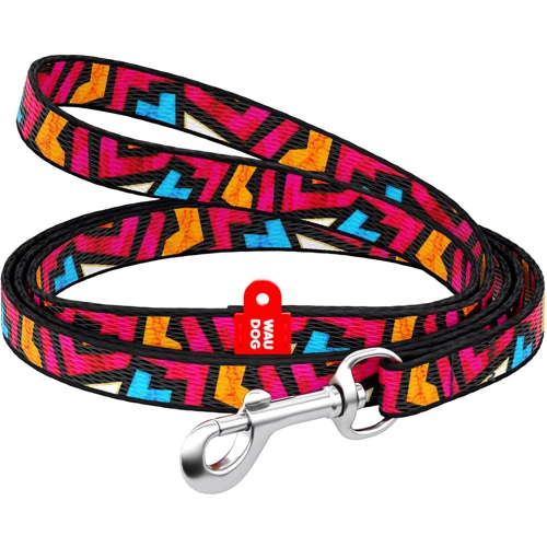 

Поводок Waudog Nylon, рисунок "Граффити" 10 мм 122 см разноцветный (5244)