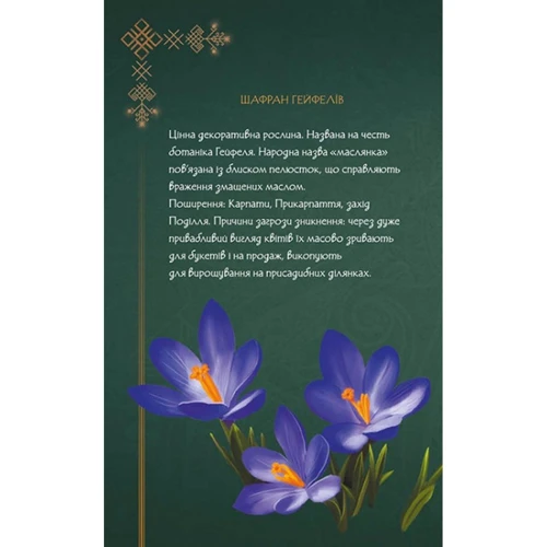 Щоденник Мавки. Весна: Кількість сторінок 192