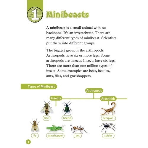 Oxford Read and Discover 3: Amazing Minibeasts: ISBN 9780194643795, 978-0-19-464379-5