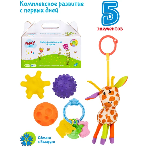 Набор развивающих игрушек Fancy Baby Моя первая игрушка (SET6)