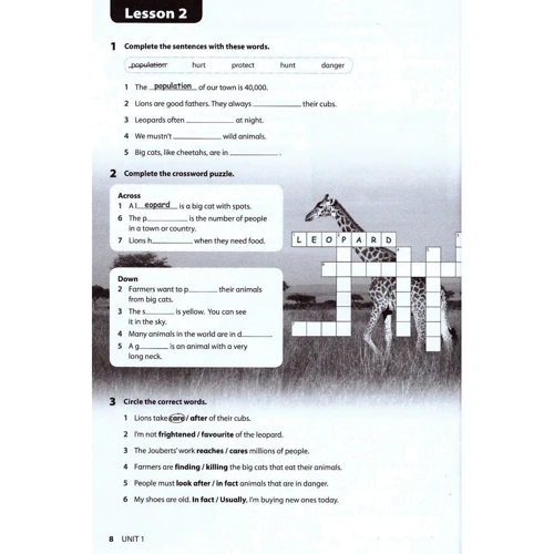 Wonderful World 2nd Edition 4: Workbook: Обкладинка Мягкая