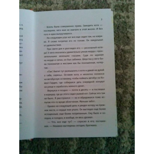 Джеймс Боуэн: Боб - необычный кот: Количество страниц 208