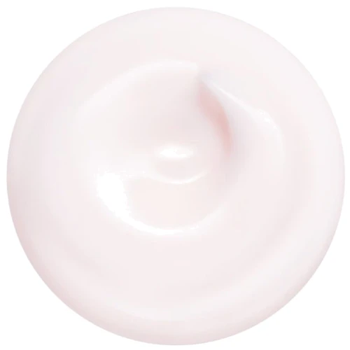 Shiseido Essential Energy Hydrating Day Cream SPF 20 Крем для обличчя 50 ml: Стать Для женщин