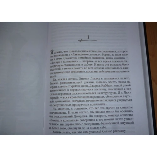 Призрачный двойник: Количество страниц 416