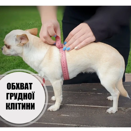 Шлея HiDog Comfort Жизнь 54-60 см XL разноцветная фото 2