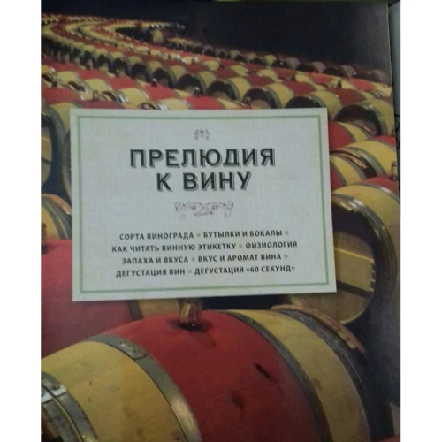 Кевін Зралі: Світовий путівник по вину. Windows on the world: Кількість сторінок 432