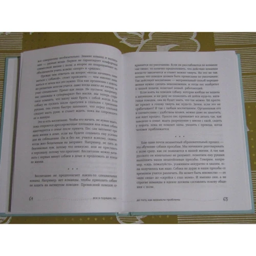 Настя Бобкова, Катя Пронина: Гладь, люби, хвали 2. Срочное руководство по решению собачьих проблем: Количество страниц 304