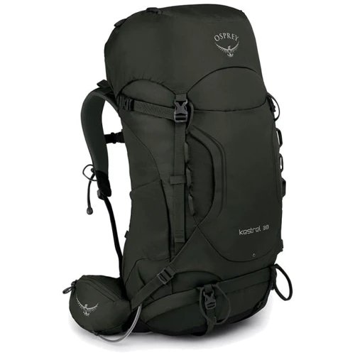 Рюкзак Osprey Kestrel 38 Picholine Green - M/L (009.1869)