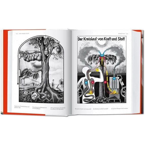 Fritz Kahn. Infographics Pioneer: Количество страниц 526