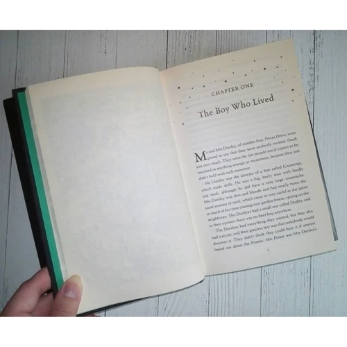 J. K. Rowling: Harry Potter and the Philosopher's Stone - Slytherin Edition: Кількість сторінок 368