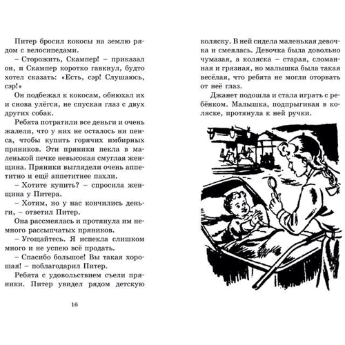 Енід Блайтон. Загадкова історія зі скрипкою: Обкладинка Тверда