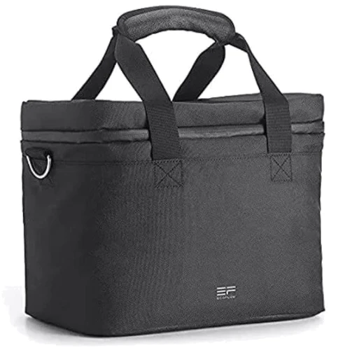 Сумка EcoFlow DELTA mini Bag (BDELTAmini-US) фото 1