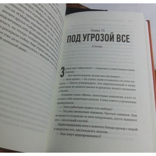 Дженнифер Броуди: Тринадцатый ковчег: Количество страниц 448