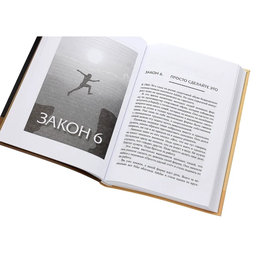 Бодо Шефер: Законы победителей: Обложка Интегральная