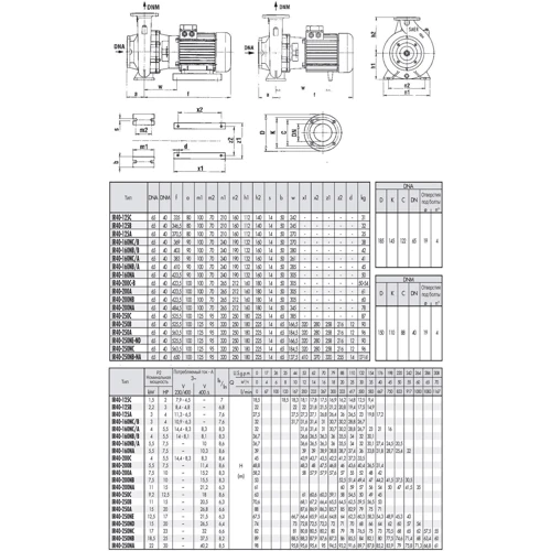 SAER IR 40-125A: Мощность, кВт 3