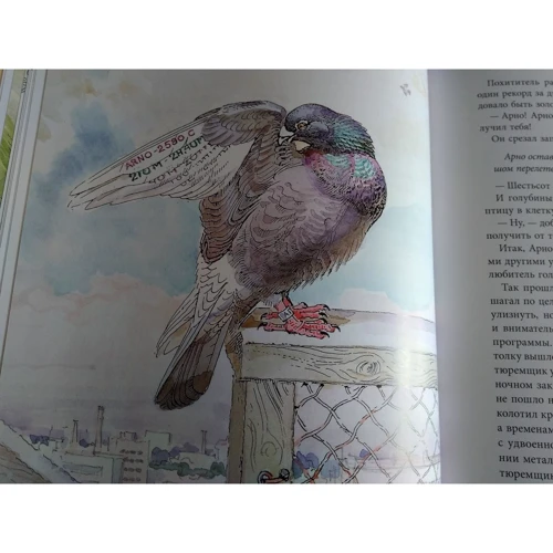Эрнест Сетон-Томпсон: Арно: Количество страниц 32