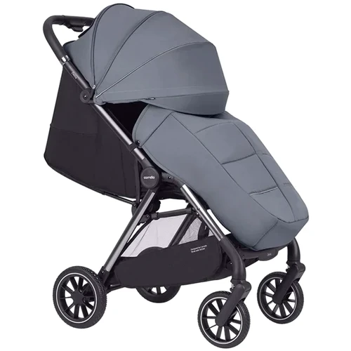 Коляска прогулочная Carrello Delta CRL-5517 Flint Grey 2024 (CRL-5517 Flint Grey 2024): Тип коляски Прогулочная