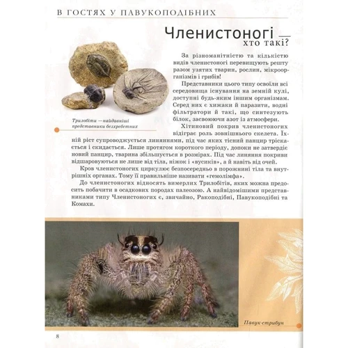 Комахи та інші. Енциклопедія для допитливих: ISBN 978-966-935-238-5