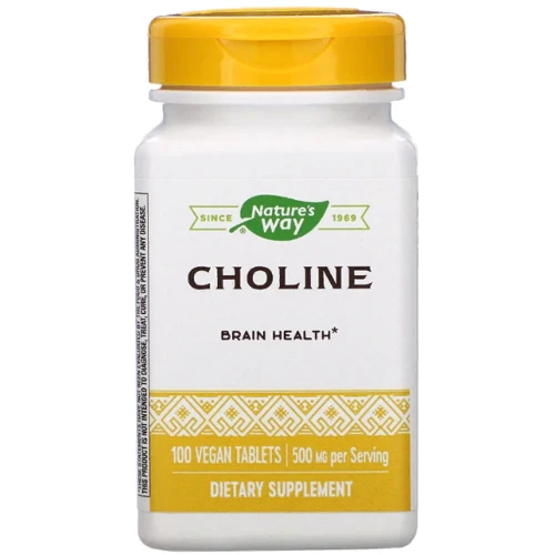Nature's Way, Choline, 500 mg, 100 Veg Tablets (NWY-40460)