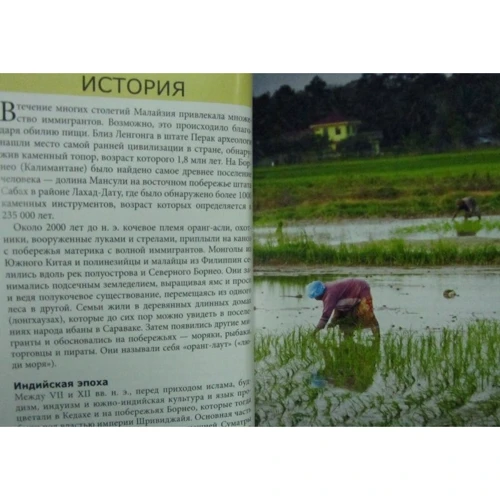 Джек Олтман: Малайзія. Путівник Berlitz Pocket Guide: Жанр путівники