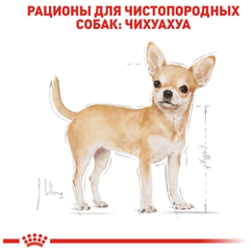 Вологий корм Royal Canin Chihuahua Adult для собак породи Чихуахуа 85 г (2041001): Порода Малые