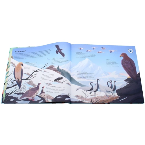 Звуки природи. птахи: ISBN 978-5-4315-1481-4