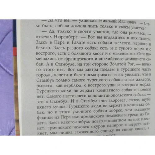Микола Лейкін: В гостях у турків. Гумористичне опис подорожі подружжя Н. і Г. Іванових в Константинополь фото 7