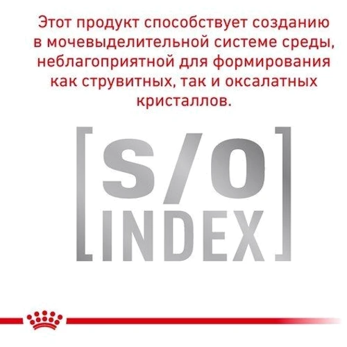 Влажный корм Royal Canin Diabetic Feline для котов с диабетом 85 г (40850011): Класс Супер премиум
