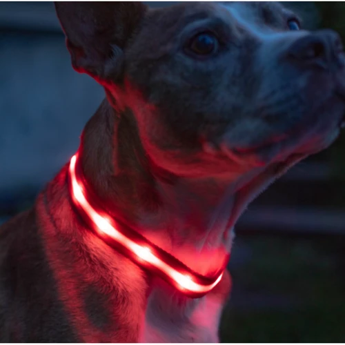 Нашийник з підсвічуванням UFT PET LED 2 Red для собак з акумулятором L (UFTPL2Lred): Колір красный