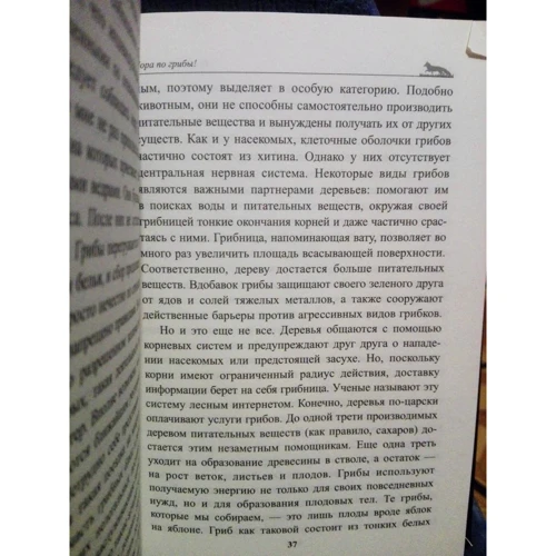 Петер Воллебен: О чём шумит лес?: Автор Петер Воллебен