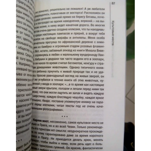 Вячеслав Перепелица: Чехия и чехи. О чем молчат путеводители: Автор Вячеслав Перепелица