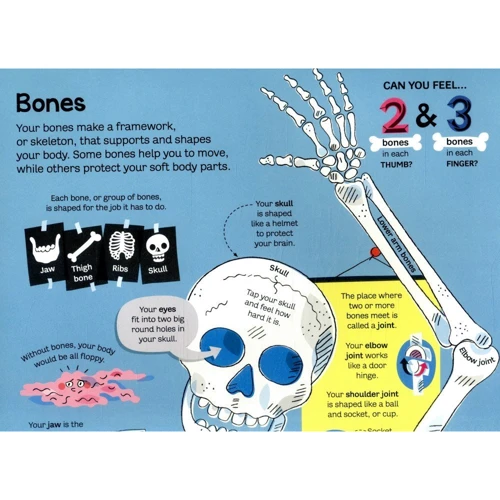 Minna Lacey: Big Book of the Body: Виробник Usborne Publishing Ltd