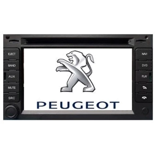 Globex Peugeot 307 GU5789