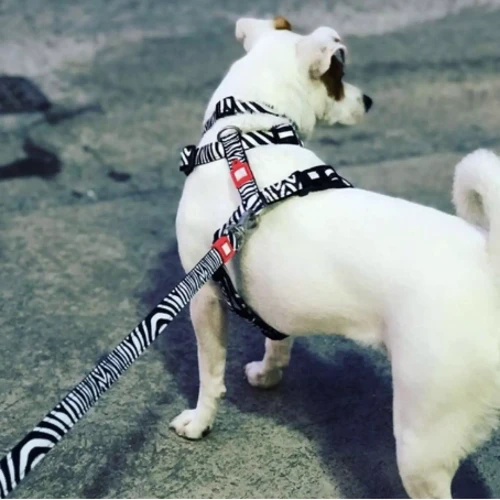 Шлейка для собак Max & Molly Urban Pets H-Harness - Zebra/L 2 см 70-98 см черная (4897039632212) фото 2