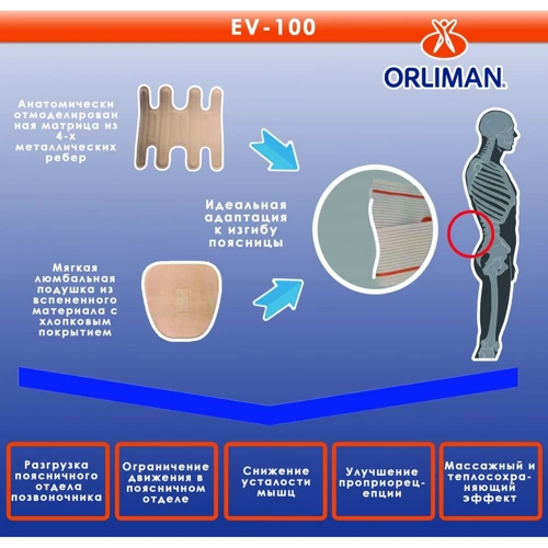 Корсет пояснично-крестцового отдела Orliman Evotec поддерживающий размер XS (EV-100/2) фото 6