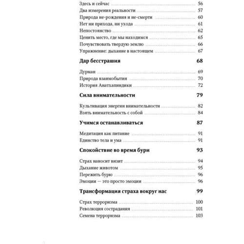 Тит Нат Хан: Бесстрашие. Мудрість, яка дозволить вам пережити бурю фото 9