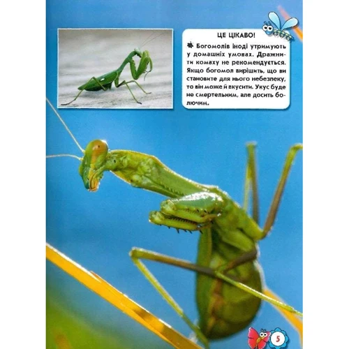 Світ довкола нас. Насекомі. Фотоенциклопедія: ISBN 978-966-936-920-8
