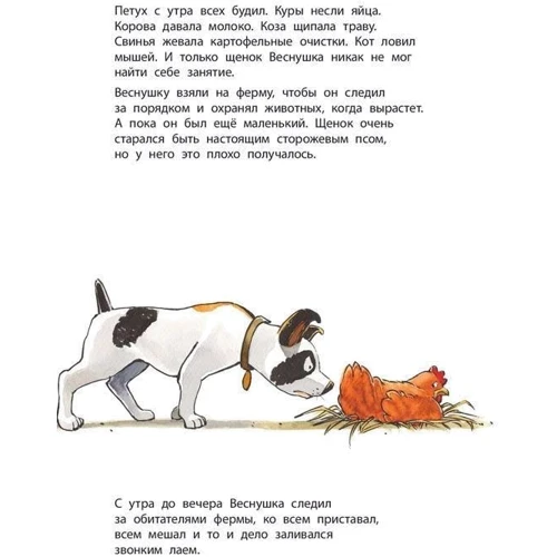 Лоранс Бургиньон: Наввипередки з черепахою: Автор Лоранс Бургиньон