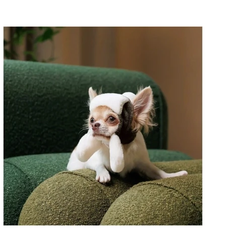Шапка для собак Pet Fashion BUBO хак S (PR243227): Размер S
