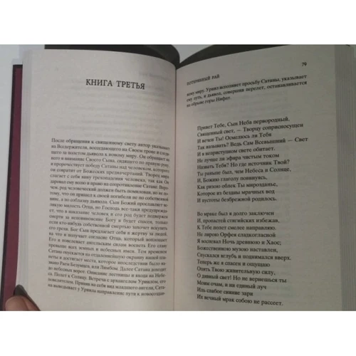 Потерянный и Возвращенный рай: Количество страниц 448