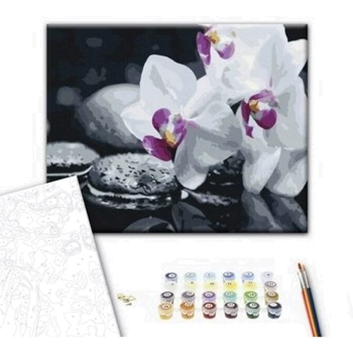 Картина по номерам Brushme Цветы дзена 40x50 см (BS21140): Производитель Brushme
