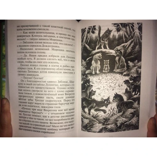 Эрин Хантер: Коты-воители. Нерассказанные истории. Месть Кленовницы: Производитель Абрис Олма