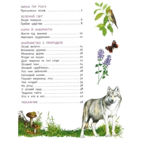 У лісі. Моя перша енциклопедія: ISBN 978-966-9850-44-7