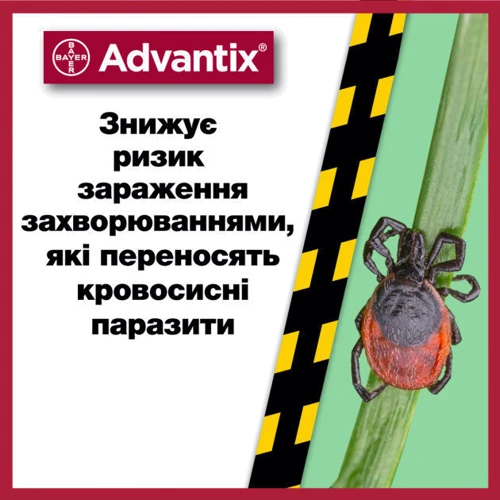 Капли Bayer/Elanco Advantix для собак 10-25 кг 4 пипетки/1 уп. (4007221047247) фото 9