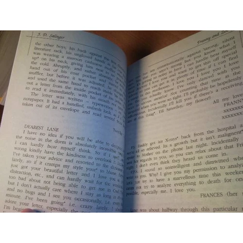 Jerome Salinger: Selected Prose: Количество страниц 224