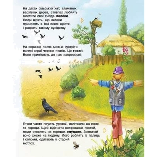 Енциклопедія дошкільника. Птахи: Количество страниц 32