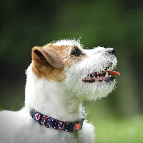 Нашийник HiDog Aztec purple L 25 мм 35-45 см різнокольоровий (104\1006): Колір разноцветный