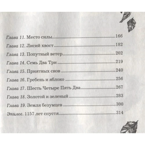 Катерина Соболь: Аніма. Книга 1. Золотий стриж: Обкладинка Твердая
