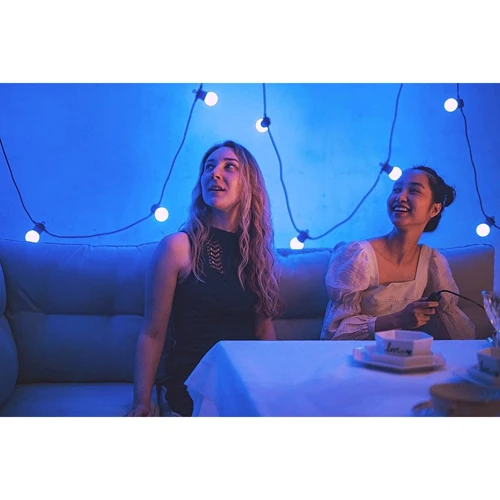 Smart LED Гирлянда Twinkly Festoon RGB 20, G45, Gen II, IP44, 10м, кабель черный: Тип Линейная